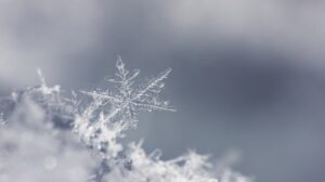 20296-istock-154451159